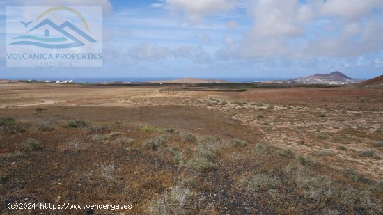 SE VENDE (Ref.319257) Licencia para construir Granja de Caprina en una finca de 14,430m2 con vistas 