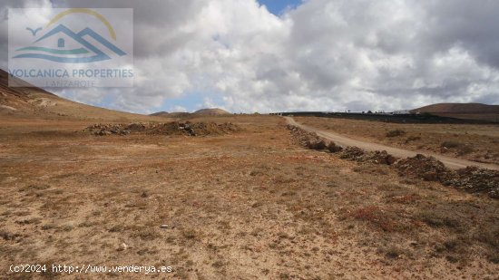 SE VENDE (Ref.319257) Licencia para construir Granja de Caprina en una finca de 14,430m2 con vistas 