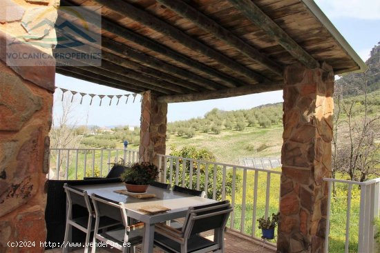 (Ref.363498) Bungalow independiente en una parcela de 6000m2 con fantásticas vistas, Rute - Rut