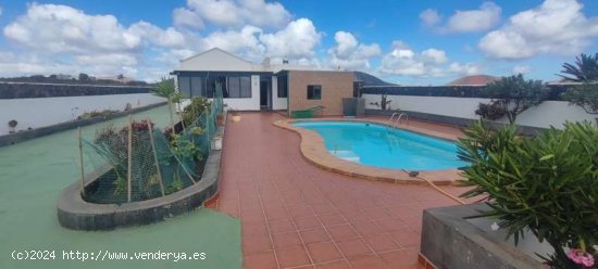 Vivienda con terreno dedicado a la vid en Conil - Tías