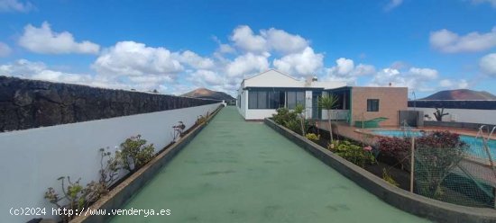 Vivienda con terreno dedicado a la vid en Conil - Tías