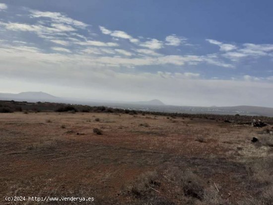  SE VENDE Terreno rústico en Los Valles - Teguise 