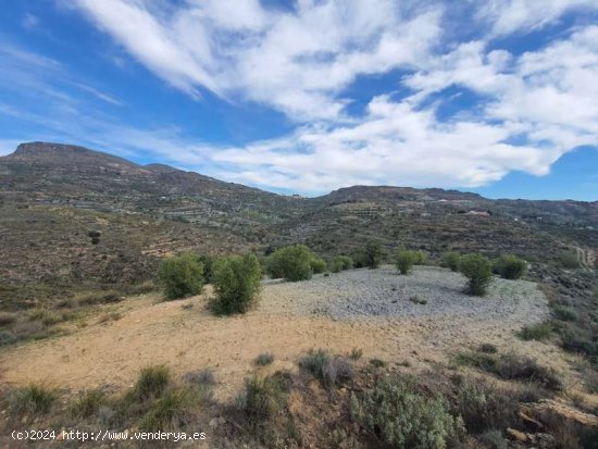 SE VENDE Terreno urbano en Venta en Felix - Felix