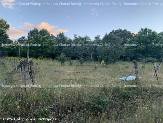 CASA EN NAVA DE FRANCIA CON UN TERRENO CERCA DE 4000M - Nava de Francia