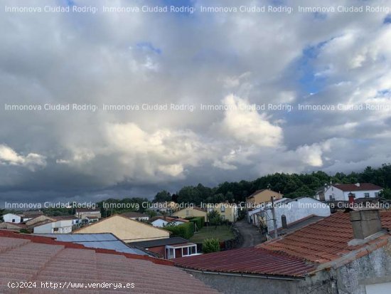 CASA EN NAVA DE FRANCIA CON UN TERRENO CERCA DE 4000M - Nava de Francia