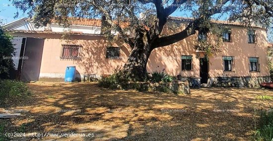 SE VENDE FINCA RÚSTICA EN VENTA EN AROCHE (HUELVA) ESPAÑA. - Aroche