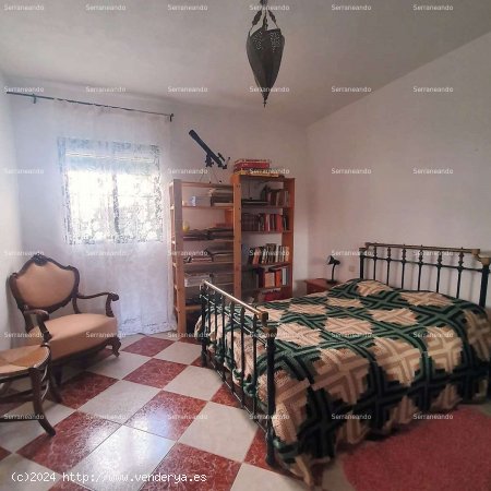 SE VENDE FINCA RÚSTICA EN VENTA EN AROCHE (HUELVA) ESPAÑA. - Aroche