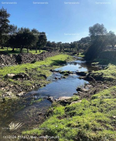 SE VENDE FINCA RÚSTICA EN VENTA EN CUMBRES MAYORES (HUELVA) ESPAÑA. - Cumbres Mayores