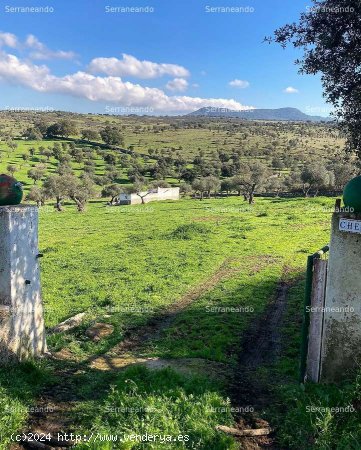 SE VENDE FINCA RÚSTICA EN VENTA EN CUMBRES MAYORES (HUELVA) ESPAÑA. - Cumbres Mayores