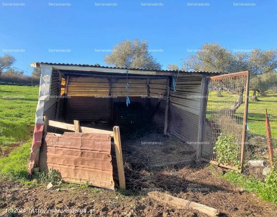 SE VENDE FINCA RÚSTICA EN VENTA EN CUMBRES MAYORES (HUELVA) ESPAÑA. - Cumbres Mayores