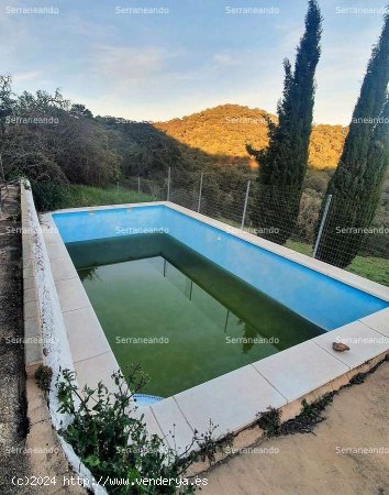 SE VENDE FINCA RÚSTICA EN VENTA EN CORTEGANA (HUELVA) ESPAÑA. - Cortegana