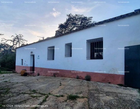 SE VENDE FINCA RÚSTICA EN VENTA EN CORTEGANA (HUELVA) ESPAÑA. - Cortegana