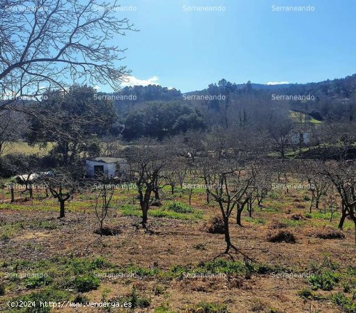 SE VENDE FINCA RÚSTICA EN VENTA EN GALAROZA (HUELVA) ESPAÑA. - Galaroza