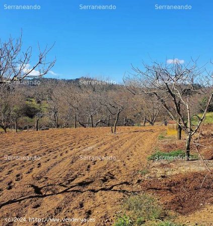 SE VENDE FINCA RÚSTICA EN VENTA EN GALAROZA (HUELVA) ESPAÑA. - Galaroza