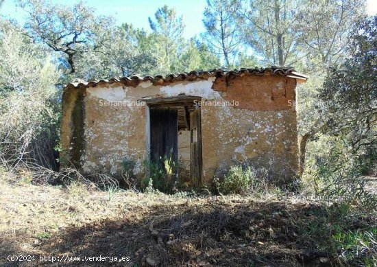  SE VENDE FINCA RÚSTICA EN VENTA EN SANTA ANA LA REAL (HUELVA) ESPAÑA. - Santa Ana la Real 