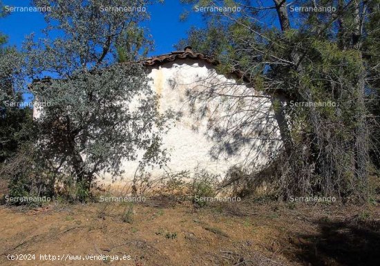 SE VENDE FINCA RÚSTICA EN VENTA EN SANTA ANA LA REAL (HUELVA) ESPAÑA. - Santa Ana la Real