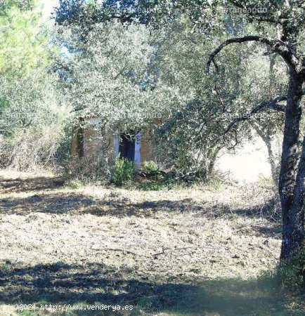 SE VENDE FINCA RÚSTICA EN VENTA EN SANTA ANA LA REAL (HUELVA) ESPAÑA. - Santa Ana la Real