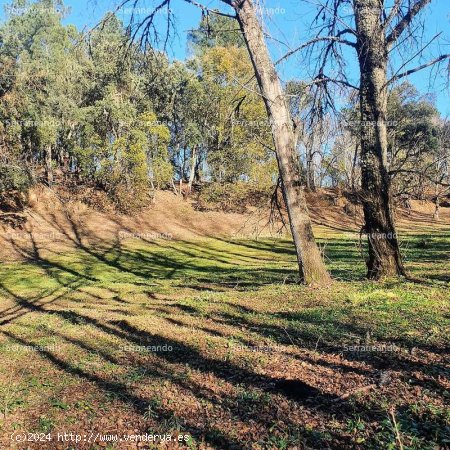 SE VENDE FINCA RÚSTICA EN VENTA EN GALAROZA (HUELVA) ESPAÑA. - Galaroza