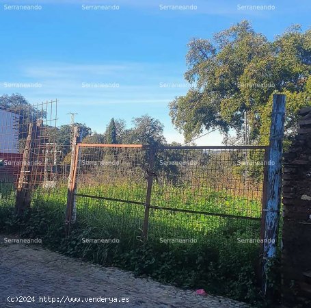 SE VENDE TERRENO URBANO EN VENTA EN AGUAFRÍA (ALMONASTER LA REAL) HUELVA. ESPAÑA. - Almona