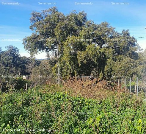 SE VENDE TERRENO URBANO EN VENTA EN AGUAFRÍA (ALMONASTER LA REAL) HUELVA. ESPAÑA. - Almona