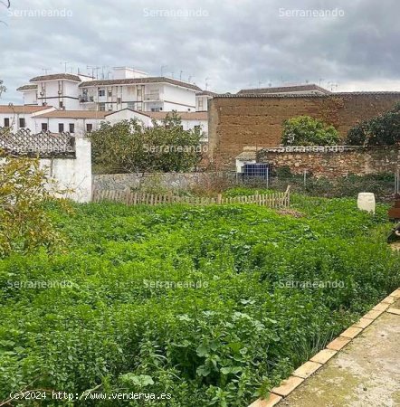 SE VENDE TERRENO URBANO EN VENTA EN JABUGO (HUELVA) ESPAÑA. - Jabugo