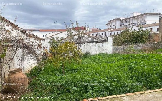 SE VENDE TERRENO URBANO EN VENTA EN JABUGO (HUELVA) ESPAÑA. - Jabugo