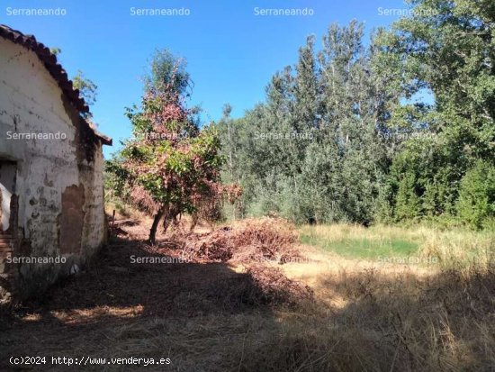 SE VENDE FINCA RÚSTICA EN VENTA EN LA NAVA (HUELVA) ESPAÑA. - Nava (La)