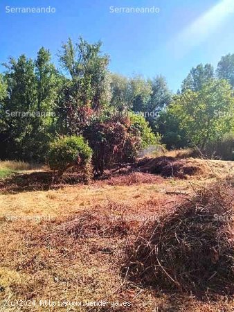 SE VENDE FINCA RÚSTICA EN VENTA EN LA NAVA (HUELVA) ESPAÑA. - Nava (La)