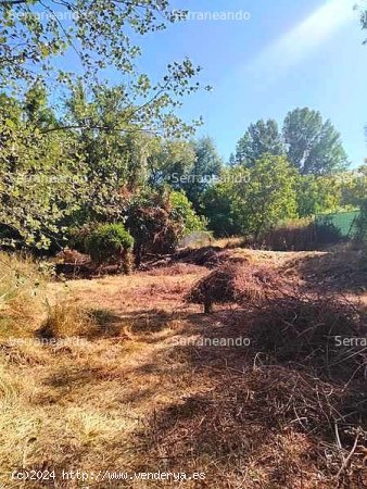 SE VENDE FINCA RÚSTICA EN VENTA EN LA NAVA (HUELVA) ESPAÑA. - Nava (La)