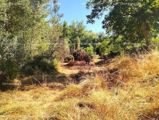 SE VENDE FINCA RÚSTICA EN VENTA EN LA NAVA (HUELVA) ESPAÑA. - Nava (La)