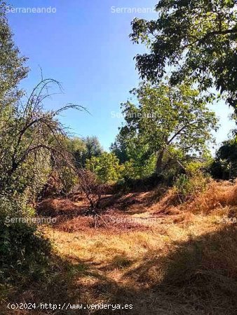 SE VENDE FINCA RÚSTICA EN VENTA EN LA NAVA (HUELVA) ESPAÑA. - Nava (La)