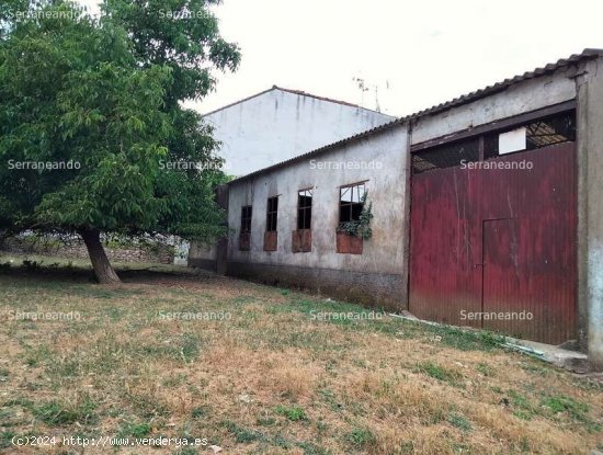 SE VENDE PARCELA RÚSTICA Y URBANA EN VENTA EN GALAROZA (HUELVA) ESPAÑA. - Galaroza