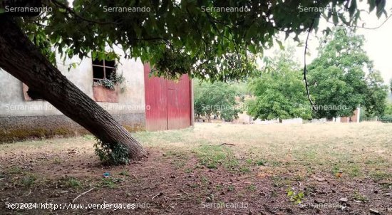 SE VENDE PARCELA RÚSTICA Y URBANA EN VENTA EN GALAROZA (HUELVA) ESPAÑA. - Galaroza