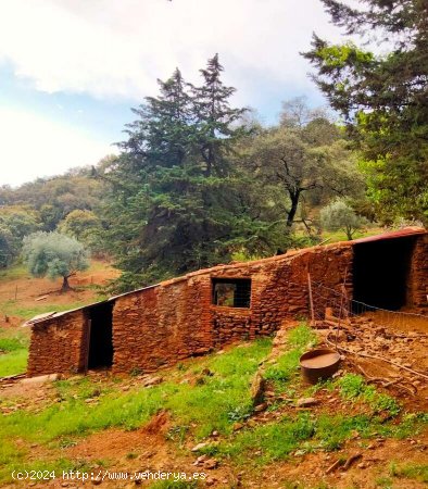  SE VENDE FINCA RÚSTICA EN VENTA EN LAS CEFIÑAS (AROCHE) ESPAÑA. - Aroche 