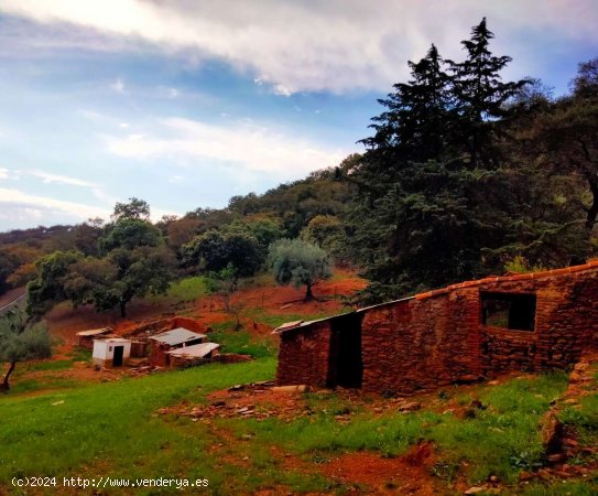 SE VENDE FINCA RÚSTICA EN VENTA EN LAS CEFIÑAS (AROCHE) ESPAÑA. - Aroche