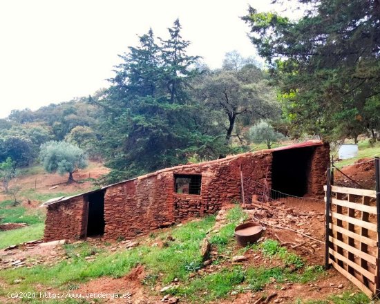 SE VENDE FINCA RÚSTICA EN VENTA EN LAS CEFIÑAS (AROCHE) ESPAÑA. - Aroche