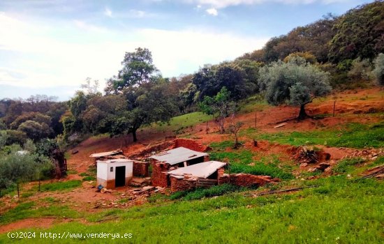 SE VENDE FINCA RÚSTICA EN VENTA EN LAS CEFIÑAS (AROCHE) ESPAÑA. - Aroche