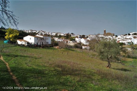 SE VENDE FINCA RÚSTICA EN VENTA EN CORTEGANA (HUELVA) ESPAÑA. - Cortegana