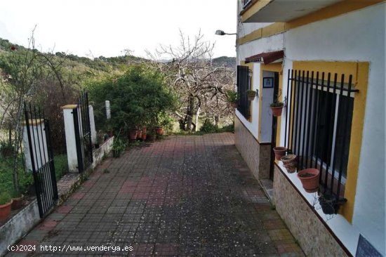 SE VENDE FINCA RÚSTICA EN VENTA EN CORTEGANA (HUELVA) ESPAÑA. - Cortegana