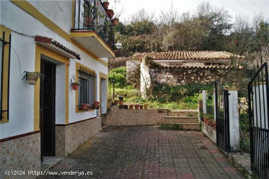 SE VENDE FINCA RÚSTICA EN VENTA EN CORTEGANA (HUELVA) ESPAÑA. - Cortegana