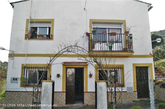 SE VENDE FINCA RÚSTICA EN VENTA EN CORTEGANA (HUELVA) ESPAÑA. - Cortegana