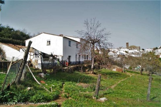 SE VENDE FINCA RÚSTICA EN VENTA EN CORTEGANA (HUELVA) ESPAÑA. - Cortegana