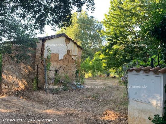 SE VENDE FINCA RUSTICA EN VENTA EN GALAROZA (HUELVA) ESPAÑA. - Galaroza