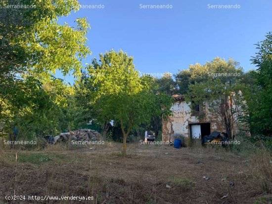 SE VENDE FINCA RUSTICA EN VENTA EN GALAROZA (HUELVA) ESPAÑA. - Galaroza