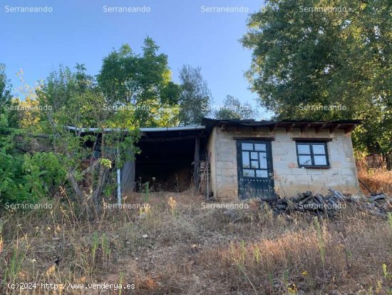 SE VENDE FINCA RUSTICA EN VENTA EN GALAROZA (HUELVA) ESPAÑA. - Galaroza