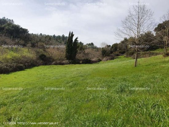 SE VENDE FINCA RÚSTICA EN VENTA EN LA NAVA (HUELVA) ESPAÑA. - Nava (La)