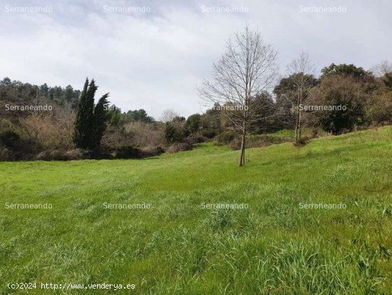 SE VENDE FINCA RÚSTICA EN VENTA EN LA NAVA (HUELVA) ESPAÑA. - Nava (La)