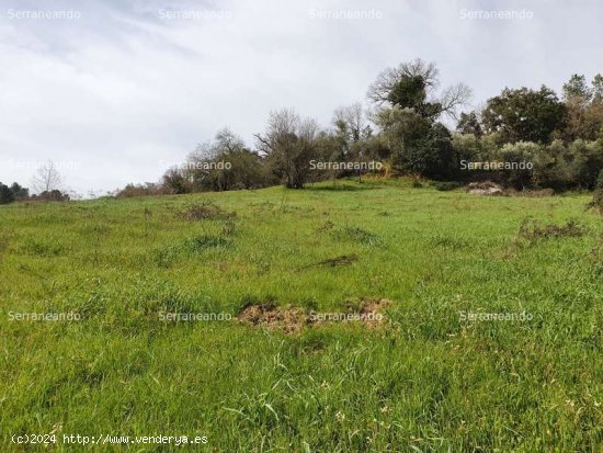 SE VENDE FINCA RÚSTICA EN VENTA EN LA NAVA (HUELVA) ESPAÑA. - Nava (La)