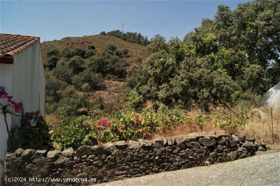 SE VENDE TERRENO URBANO CON PROYECTO EN VENTA EN ACEBUCHE (ALMONASTER LA REAL ) HUELVA. ESPAÑA.