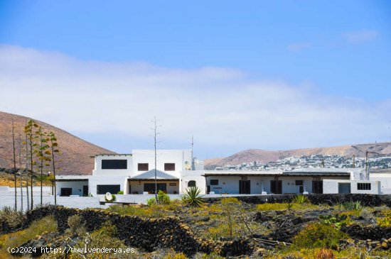 Casa rural y 5 apartamentos en Tahiche - Teguise